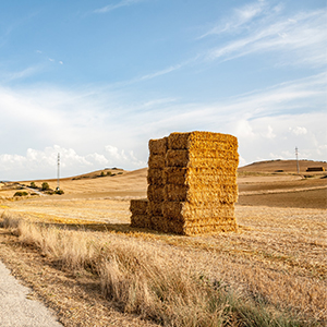 Hay Bales