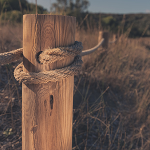 Fence Posts