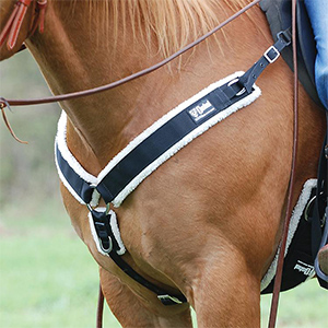 western back packs