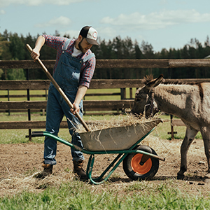 Carts And Wheelbarrows