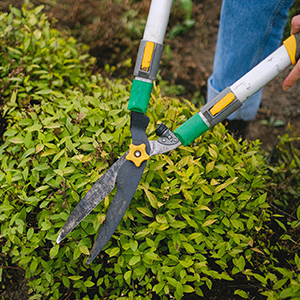 Pruning And Cutting Tools