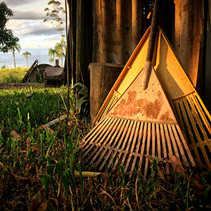 Rakes And Forks Tools