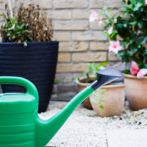 Irrigation And Watering