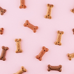 Dog Treats, Toys, Accessories