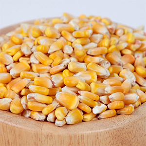 Grain Whole Corn 50#