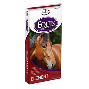 Equis Horse Element 50#