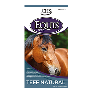 Equis Horse Teff Pellet