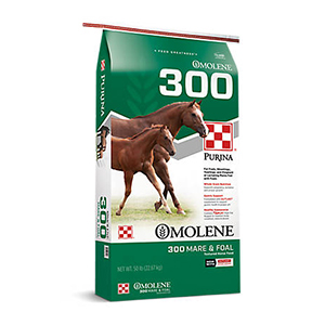 Bentley Grange Feeds - Bentley Grange Feeds sell a wide variety of horse  feed including from Simple System Horse Feeds at great prices. 🐴 Why not  visit our shop at Bentley Grange