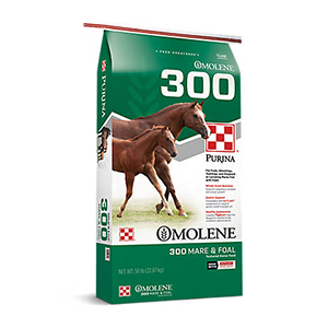 Purina Horse Omolene 300