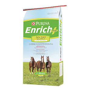 Purina Horse Enrich Plus 50#