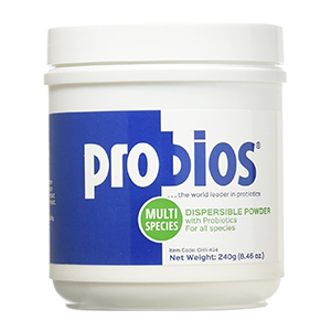 Supp Probios Powder 240gm