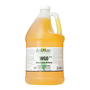 Oil Wheat Germ Gal