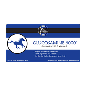 Supp Glucosamine 6000 2#