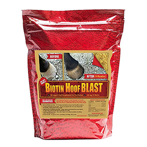Supp Hoof Biotin Blast 10#