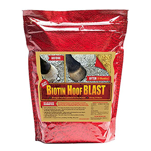 Supp Hoof Biotin Blast 10#