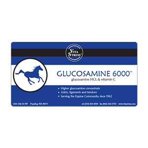 Supp Glucosamine 6000 1#