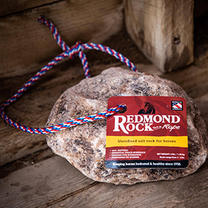 Rock On Rope Redmond 3-6#