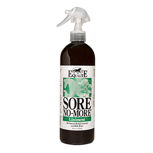 Lin Sore No More Spray 16oz