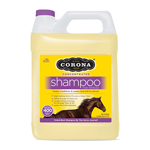 Shamp Corona 3 Ltr