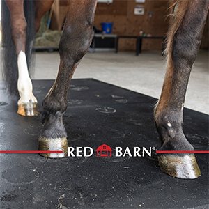 Red Barn Stall Mat - 5' X 7' X 1/2