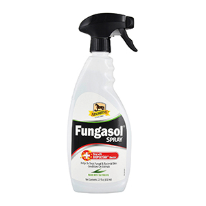 Fungasol Spray 22oz