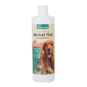 Naturvet Flea & Tick Shamp 16oz