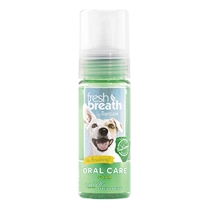 Fresh Breath Mint Foam 4.5oz