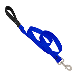 Leash Dog 6 Ft 1/2in Blue
