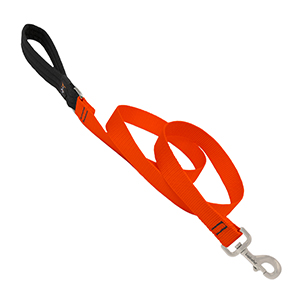 *leash Dog 6ft 1in Orange