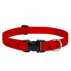 Collar Dog 12-20 1in Red