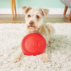 Toy Dog Kong Flyer