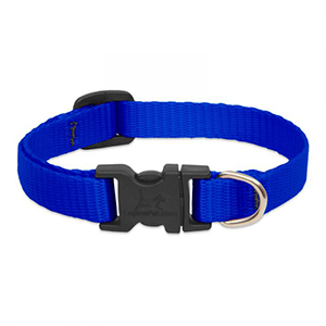 Collar Dog 8-12 1/2in Blue