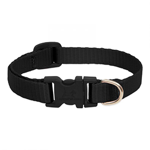 Collar Dog 10-16 1/2in Blk