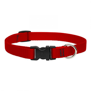 Collar Dog 13-22 3/4in Red