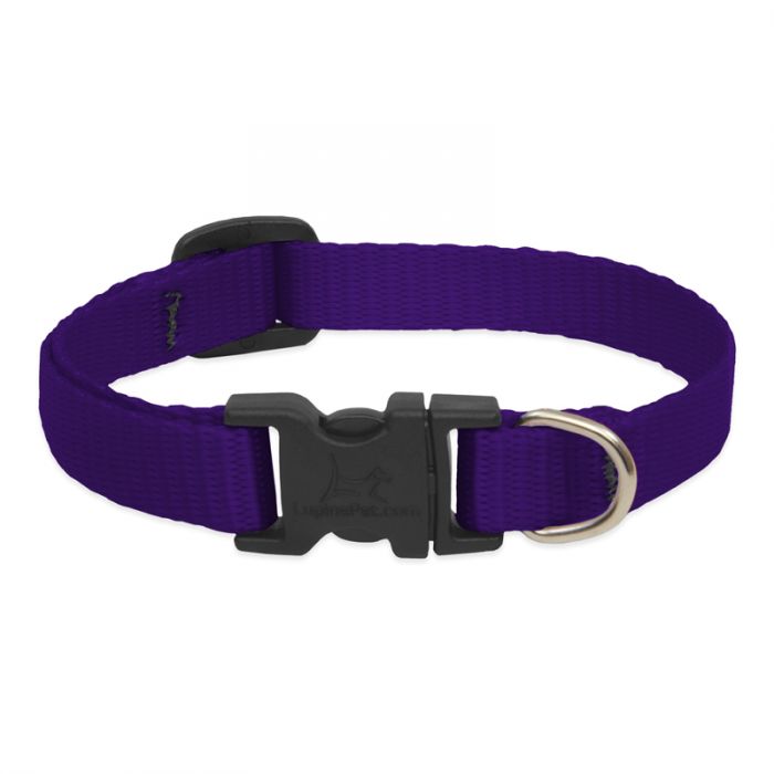 Collar Dog 10-16 1/2in Prple