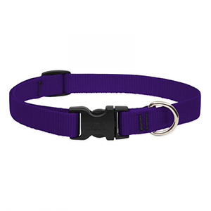 Collar Dog 15-25 3/4in Prple