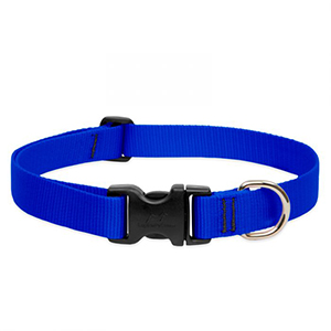 Collar Dog 12-20 1in Blue