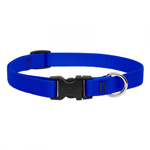 Collar Dog 9-14 3/4in Blue