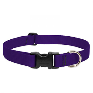 Collar Dog 12-20 1in Prple