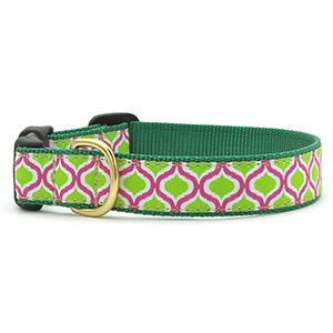 Collar Dog Green Kismet