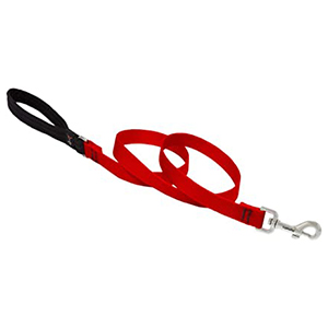 *leash Dog 6ft 1in Red
