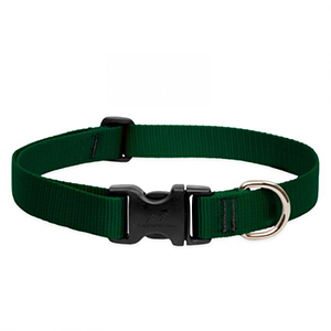 Collar Dog 12-20 1in Grn