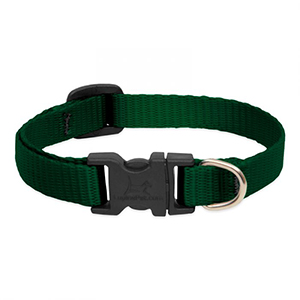 Collar Dog 6-9 1/2in Grn