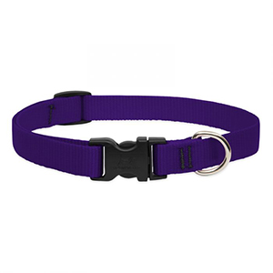 Collar Dog 13-22 3/4in Prple