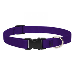 Collar Dog 9-14 3/4in Purple