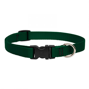 Collar Dog 15-25 3/4in Grn