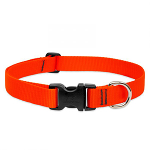 Collar Dog 16-28 1in Orange