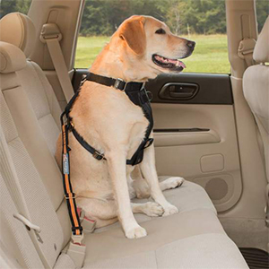 Kurgo Pet Seat Belt Tether