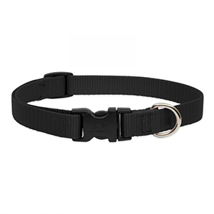 Collar Dog 15-25 3/4in Blk