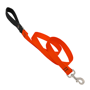 Leash Dog 4ft 1in Orange